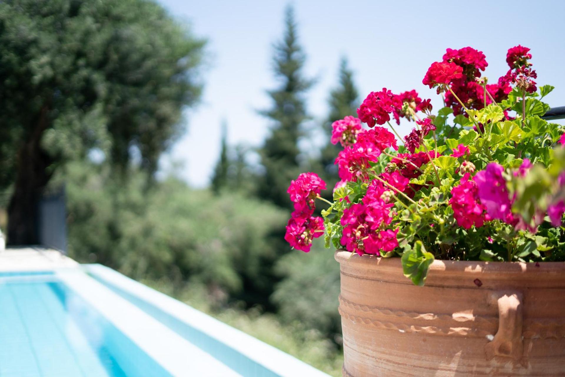 Villa Eleonas Strongyli  ภายนอก รูปภาพ